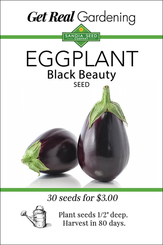 Eggplant - Black Beauty Seeds