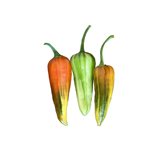 Fish Pepper Seeds