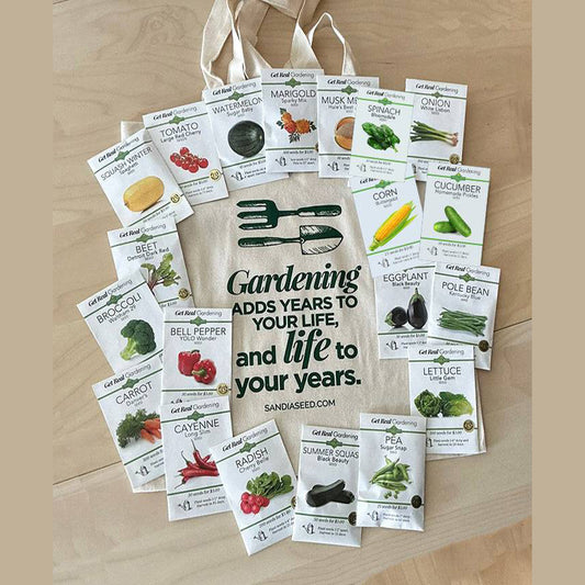 Food Garden - 20 Vegetable Seed Packets displayed with cotton tote bag and planting tips, ideal for easy vegetables to grow at home.