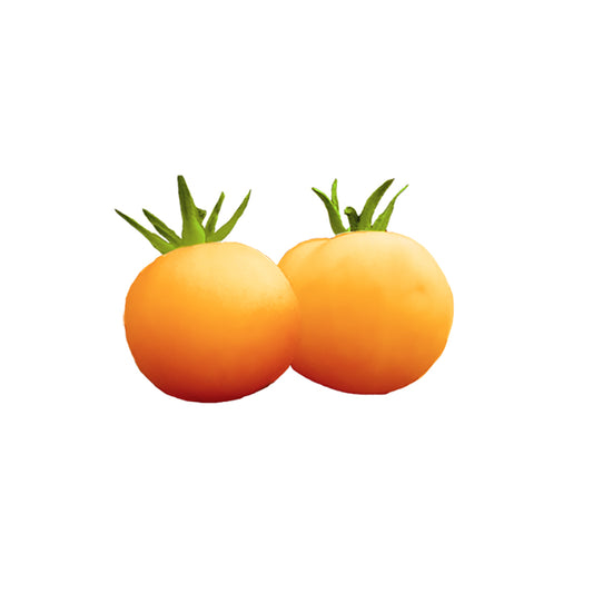 Two ripe Garden Peach tomatoes with fuzzy yellow-orange skin, showcasing the heirloom variety's unique texture and mild sweetness.