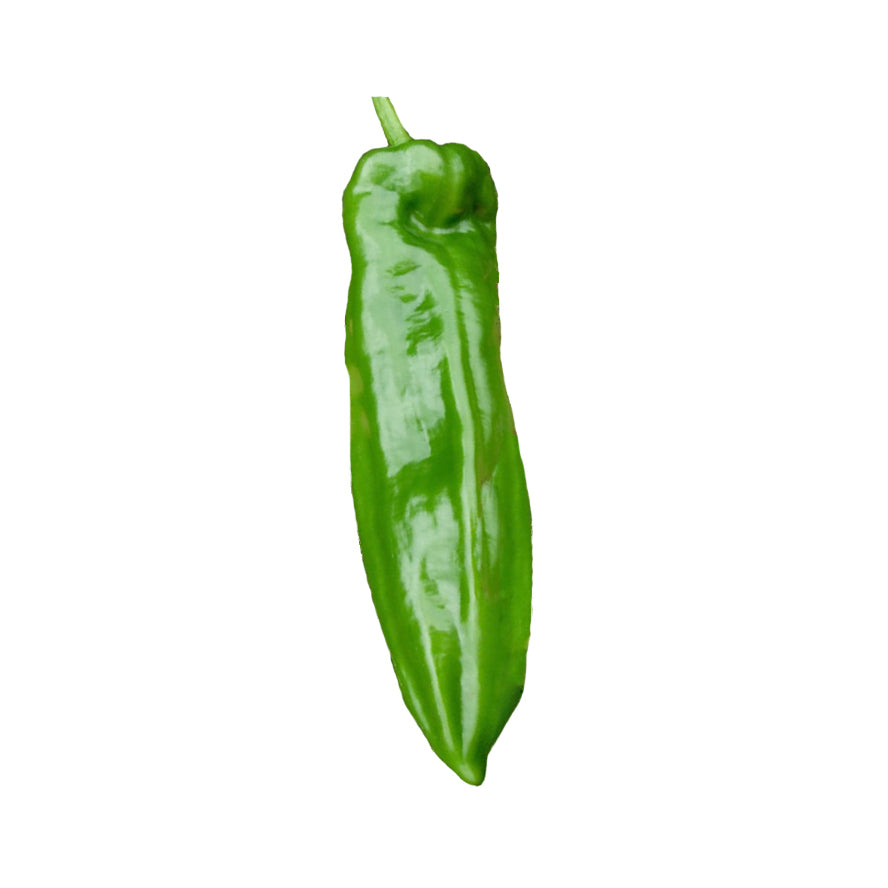 Marconi Giant F1 Sweet Pepper Seeds