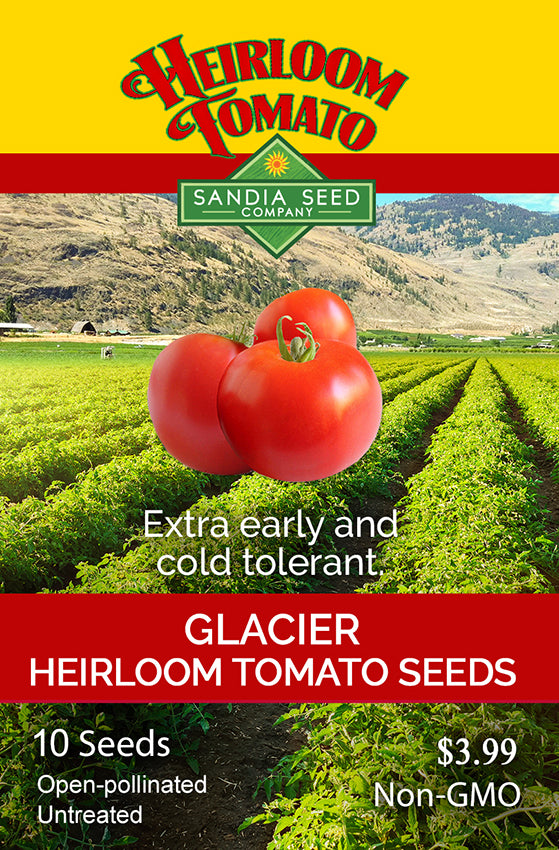 Glacier Heirloom Tomato Seeds packet with tomatoes and a field in the background.