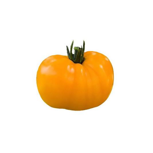 Golden Jubilee Tomato Seeds - Low Acidity - Heirloom Seeds