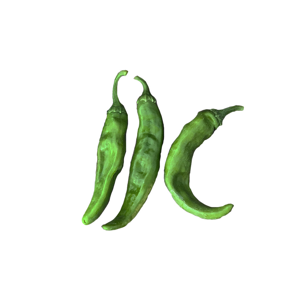 Lumbre chiles on white background