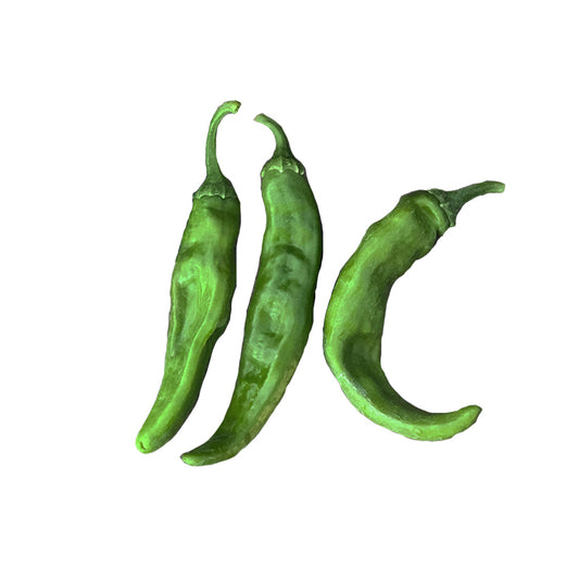 Hatch Green X Hot - Lumbre Green Chile Seeds - An Extra Hot Heirloom - ON SALE