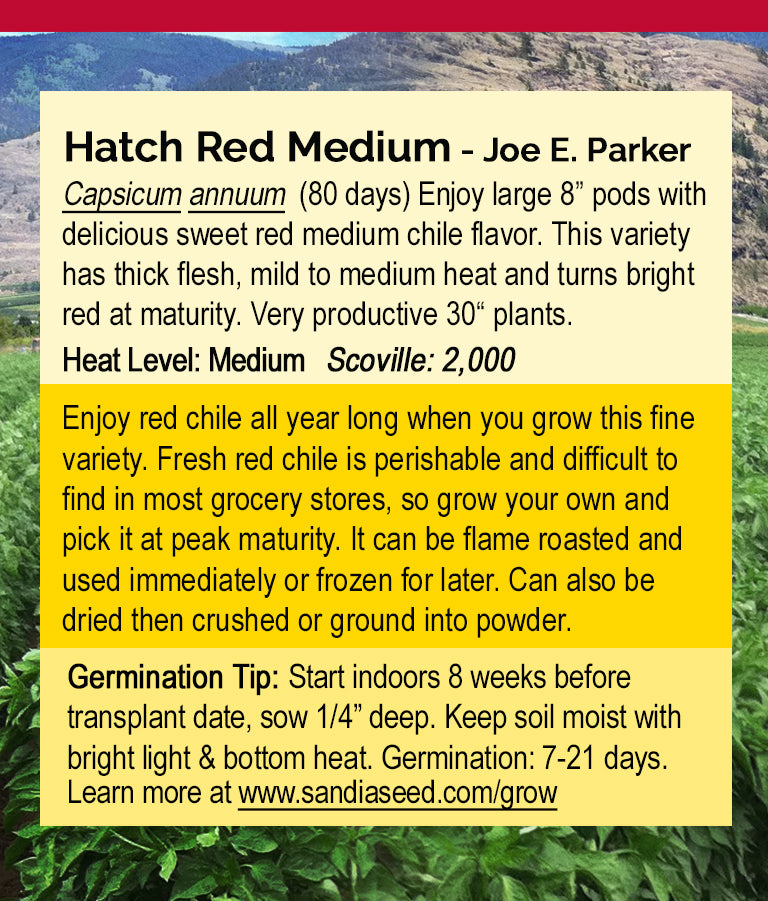 Hatch Red Medium - Joe E. Parker Chile Seeds - Popular Heirloom with Great Flavor