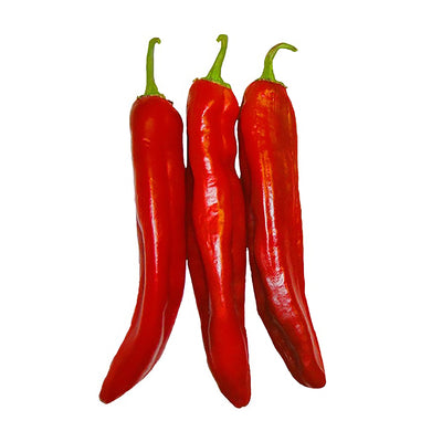 Three red Joe E. Parker chili peppers with green stems on a white background