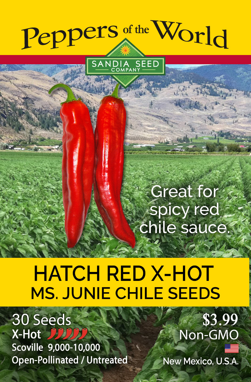Seed packet for Hatch Red X-Hot MS. Junie Chile Seeds by Sandia Seed Company, featuring two large red chili peppers over a green pepper field with mountains in the background.