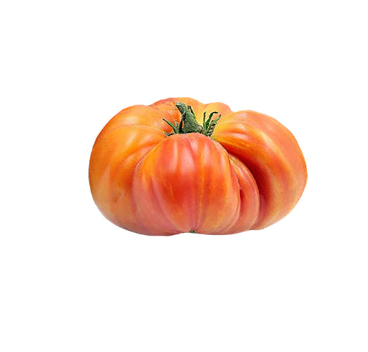 Tomato - Hillbilly Heirloom Seeds