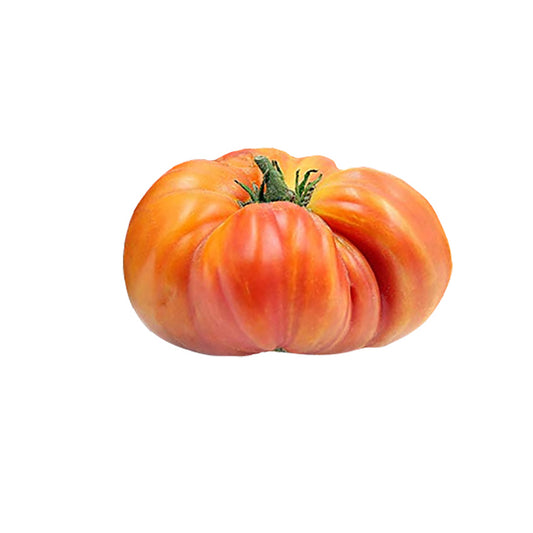 Hillbilly Tomato Seeds produce large, sweet heirloom tomatoes with orange-yellow skin and red marbling. Ideal for home garden harvests.