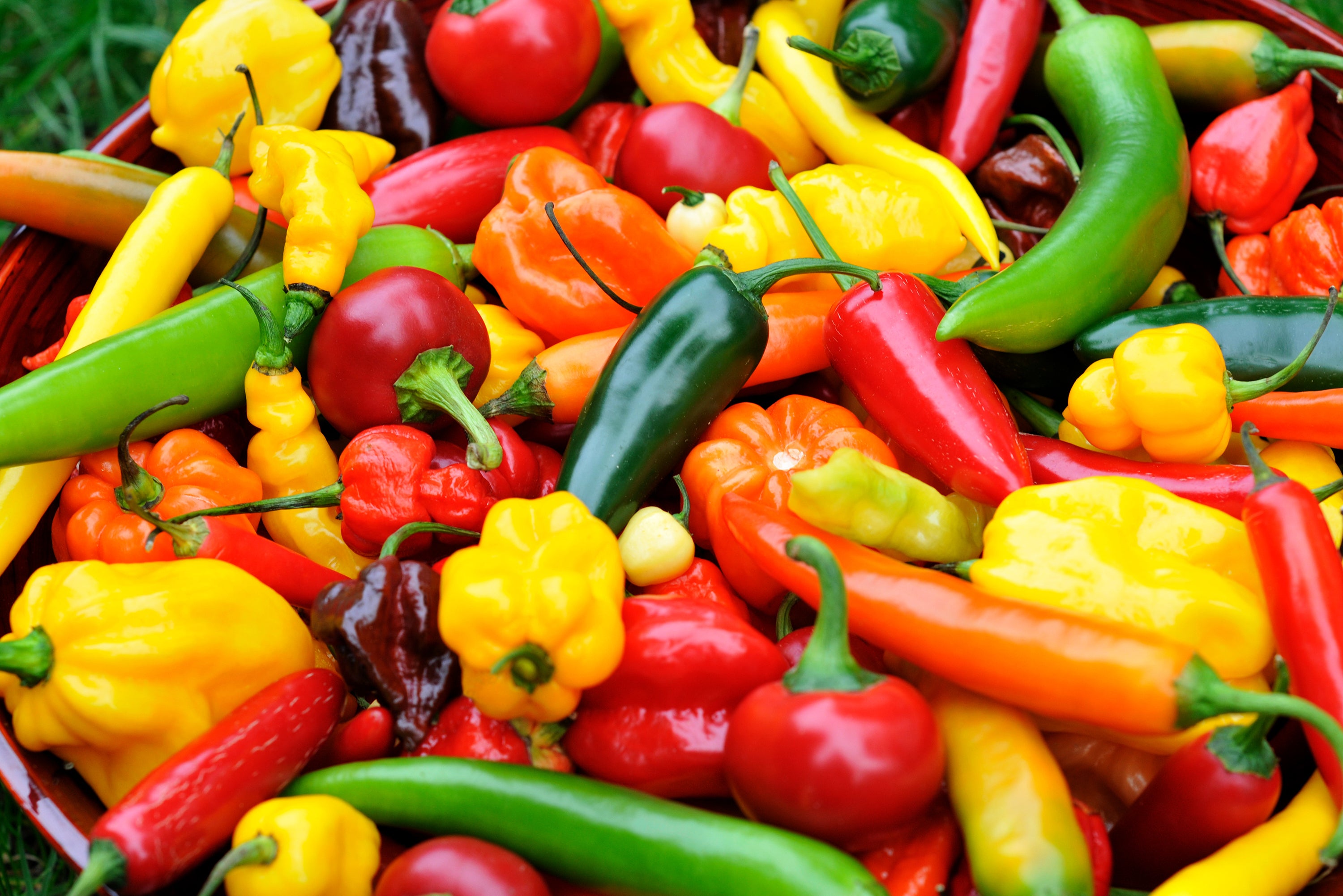 List of Peppers by Heat