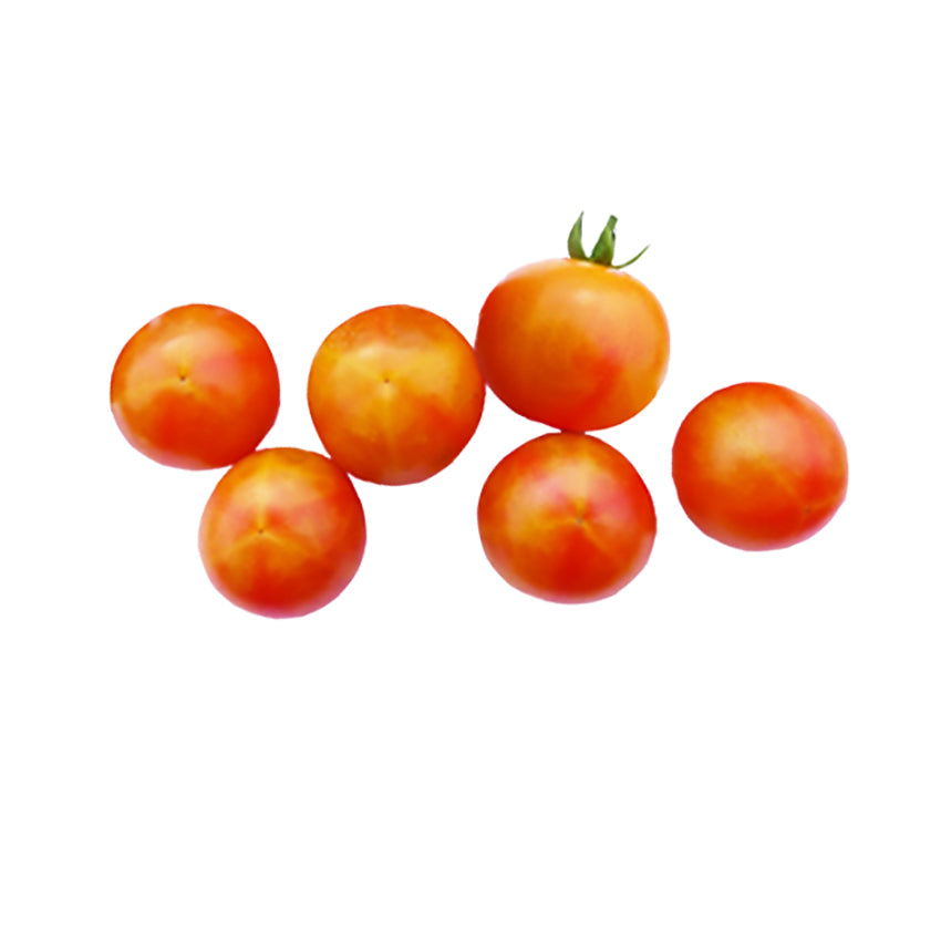Isis Candy Tomato Seeds - Cherry Tomato Bi-color - Heirloom variety showing six ripe, red-orange bi-color cherry tomatoes on white background.