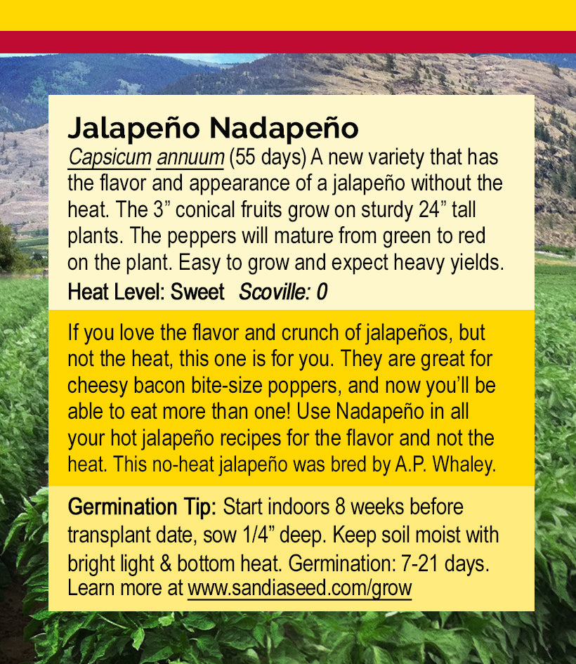Nadapeño No-Heat Jalapeño Seeds - Sweet Jalapeños without the Heat!
