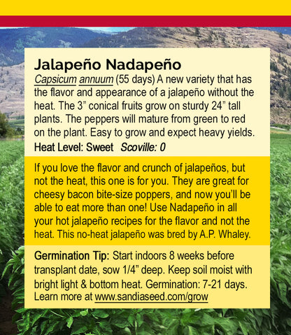 Nadapeño No-Heat Jalapeño Seeds - Sweet Jalapeños without the Heat!
