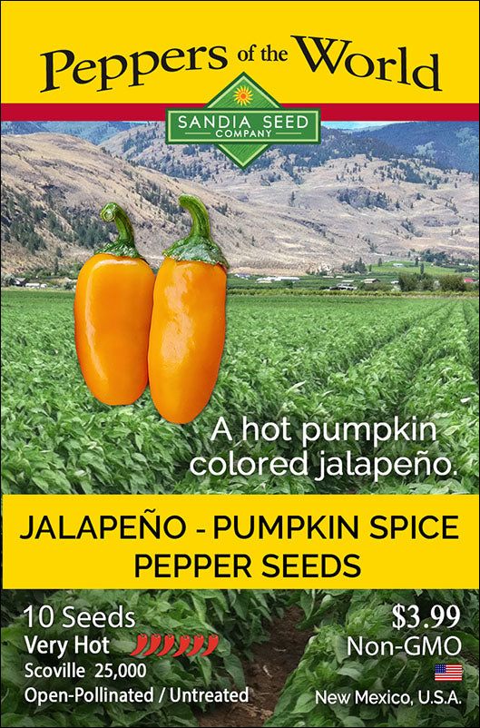 Jalapeño Pumpkin Spice NuMex Seeds - NEW!