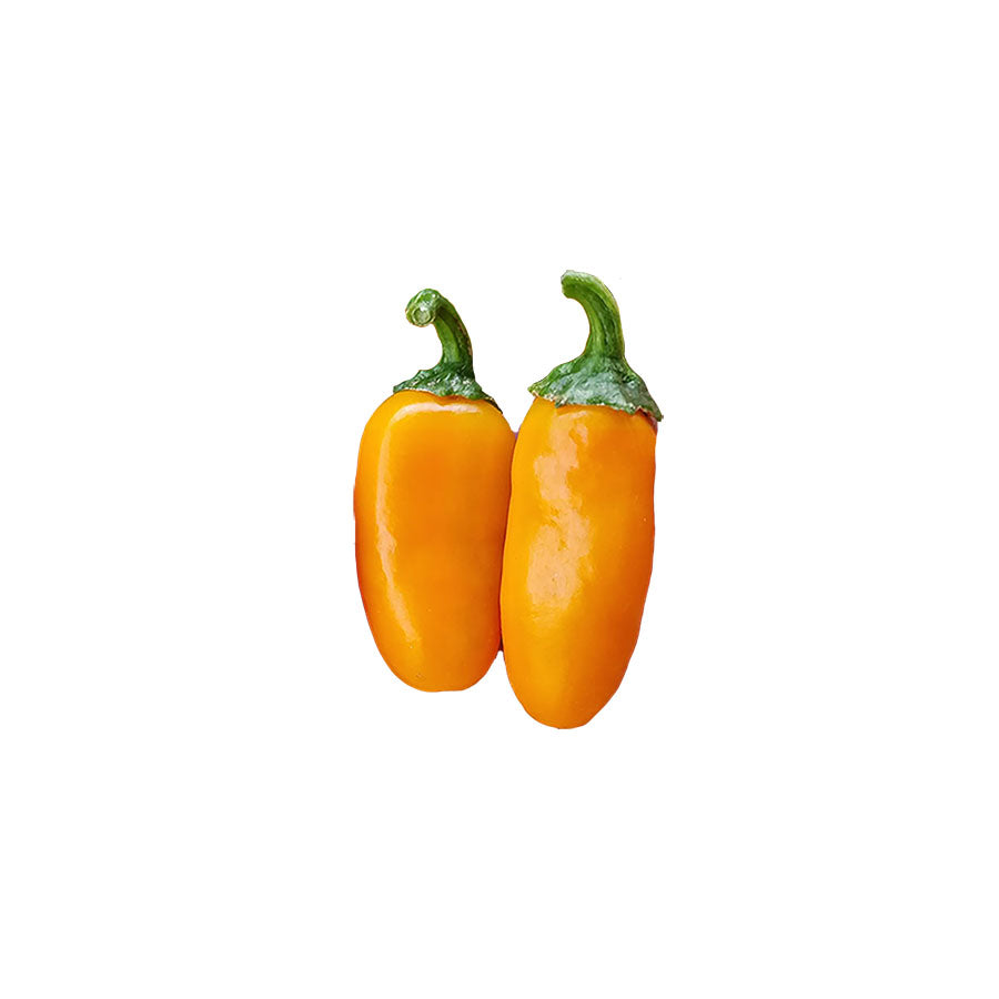 Jalapeño Pumpkin Spice NuMex Seeds