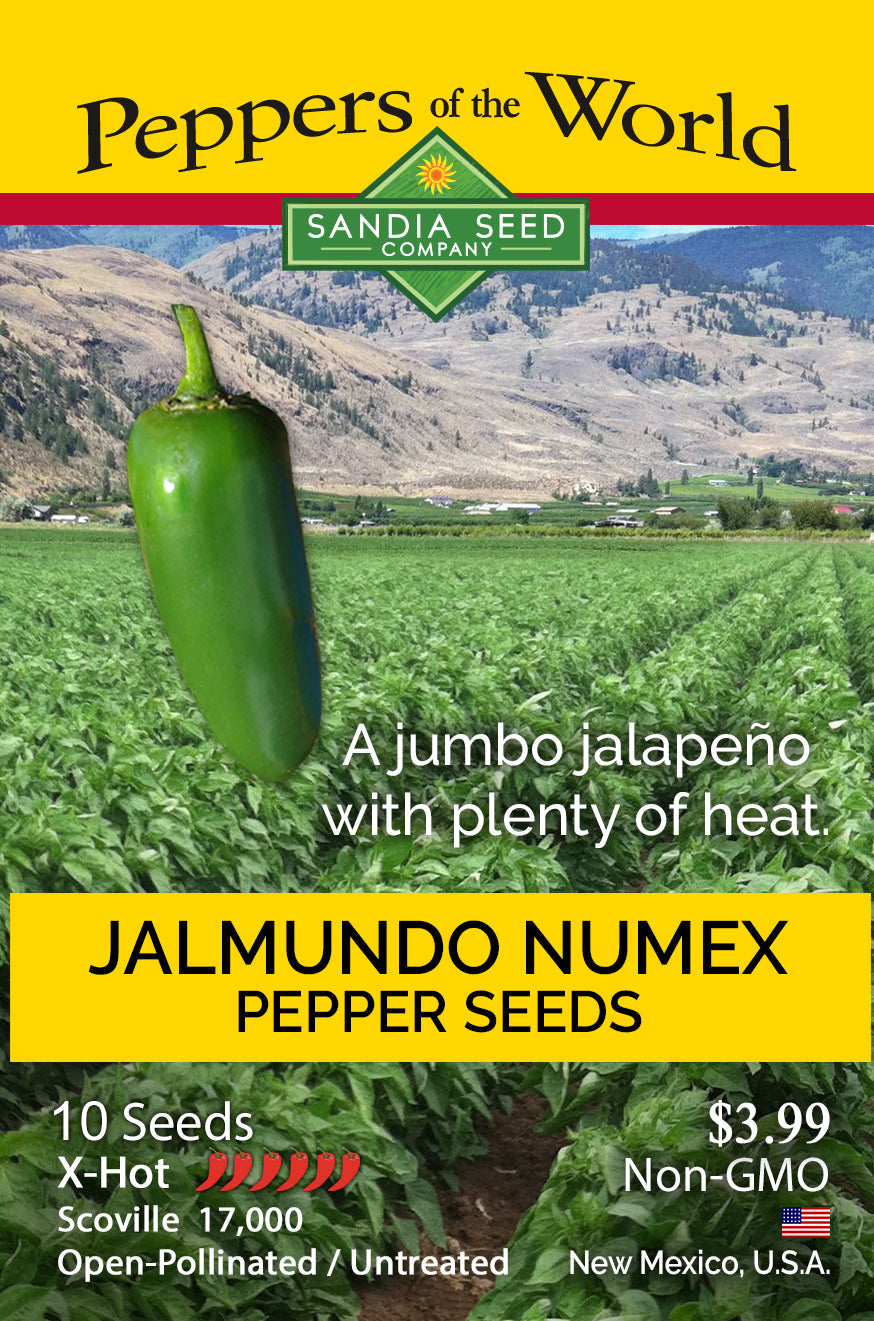 Seed packet for Sandia Seed Company Jalmundo Numex Pepper Seeds, featuring a large green jalapeño pepper illustration over a farm field background with yellow text panels.