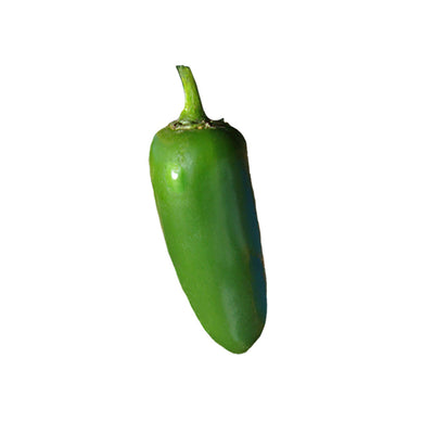 Jalmundo NuMex Pepper Seeds - Extra-Large Hot Jalapeños produce thick-walled green peppers ideal for spicy dishes and home gardening.