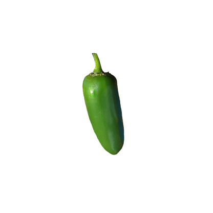 Jalapeño NuMex Jalmundo Pepper Seeds