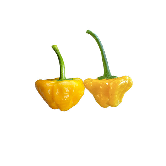Jamaican Hot Yellow Heirloom Pepper 10 Seeds - Extreme Heat