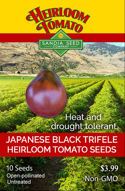 Heirloom Japanese Black Heirloom Tomato Seed packet heat tolerant drought tolerant