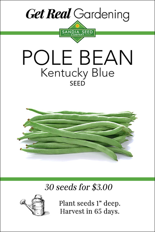 Bean - Kentucky Blue Pole Bean Seeds
