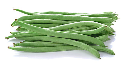 Bean - Kentucky Blue Pole Green Bean Seeds