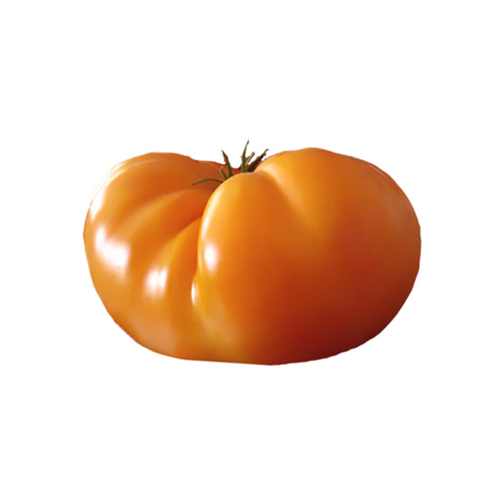 Kellogg's Breakfast Tomato Seeds - Orange Heirloom Beefsteak with Bold Flavor