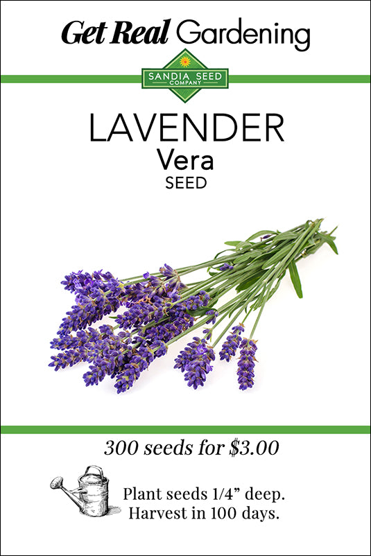 Lavender Vera Seeds