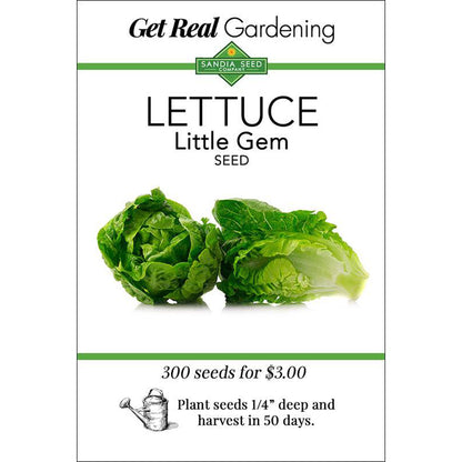 plant lettuce seeds Little Gem Lettuce Seeds - Crunchy and Sweet