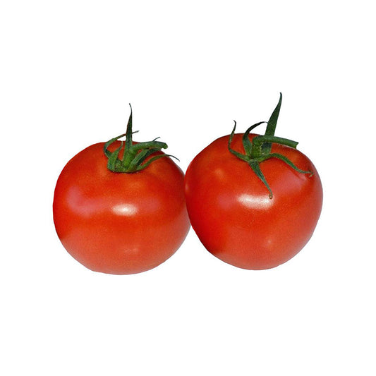 Marglobe Supreme Seeds - High Yield Tomato - Disease Tolerant