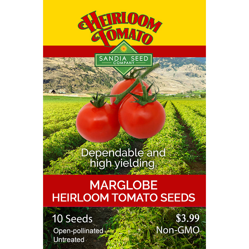 Marglobe Seeds - High Yield Tomato - Disease Tolerant