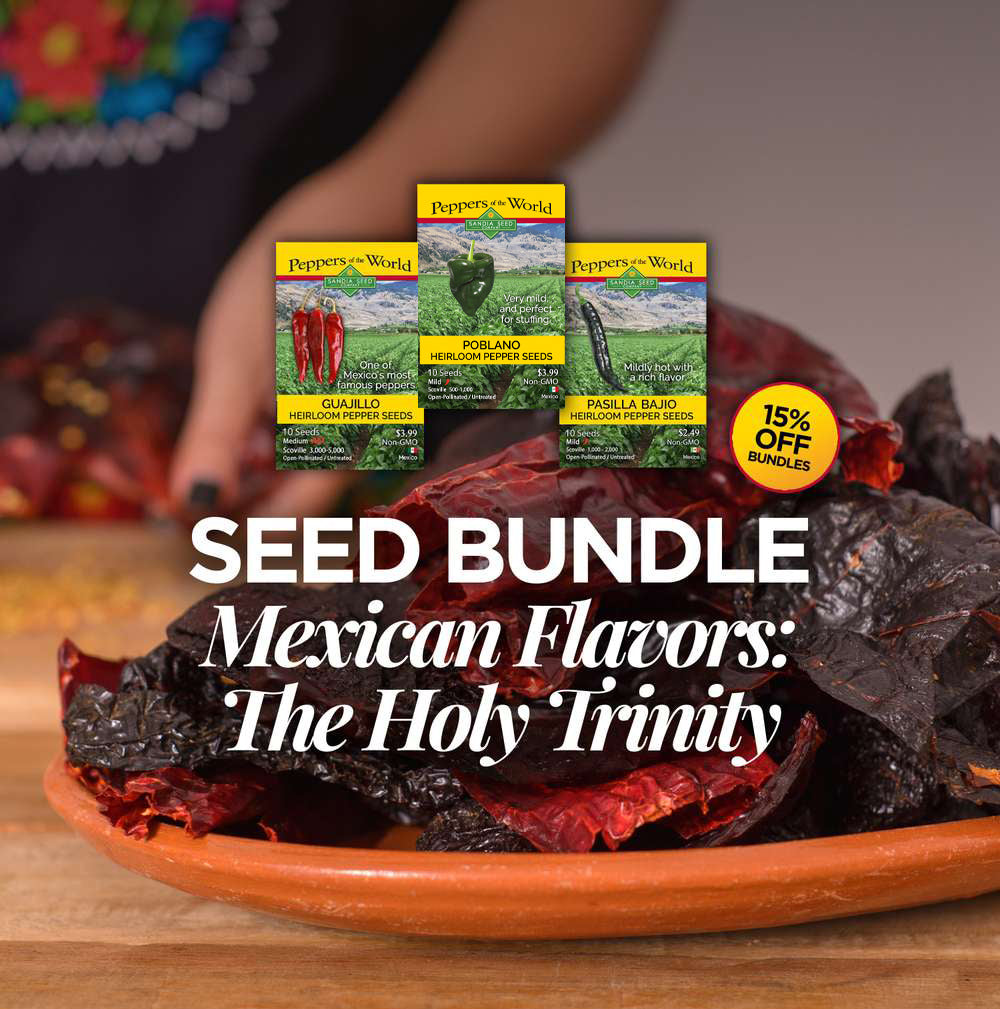 A promotional bundle image showing three Peppero's World seed packets arranged over a bowl of dried Mexican-style peppers. Large overlaid text reads 'SEED BUNDLE Mexican Flavors: The Holy Trinity' with a yellow '15% OFF BUNDLE' badge.