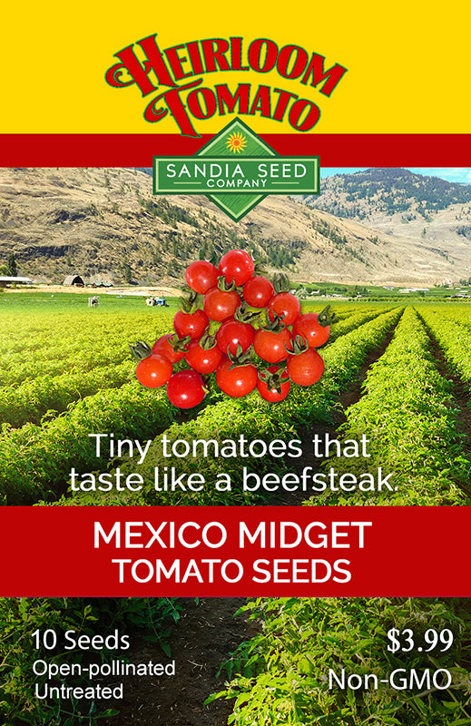 Mexico Midget Cherry Tomato Seed packet tiny great taste red