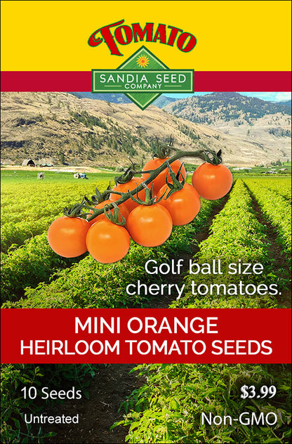 Tomato - Mini Orange Seeds - NEW!