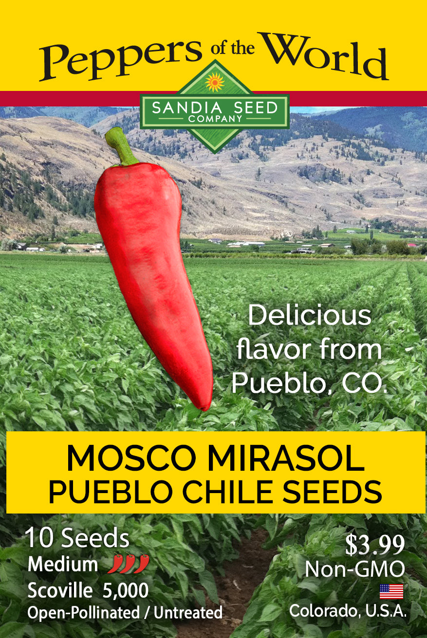 Seed packet for Sandia Seed Company's Mosco Mirasol Pueblo Chile seeds, featuring a large red chili pepper graphic over a green field and mountain landscape, with yellow text panels.
