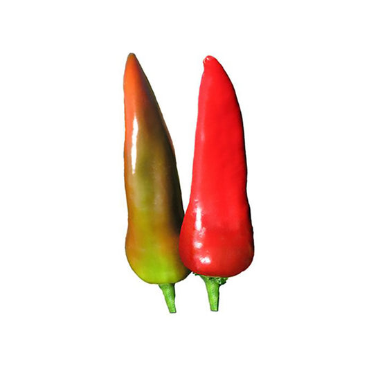 Mirasol Mosco Pueblo Chile Seeds - Sweet Colorado Flavor - Medium Heat