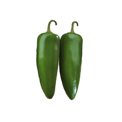 Jalapeño Mucho Nacho F1 - High-Yield Salsa Pepper - Non-GMO Seeds showing two large green jalapeño peppers ideal for nachos and fresh dishes.