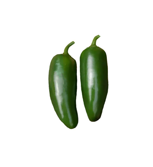Two green Nadapeno No-Heat Jalapeno peppers with smooth skin, ideal for growing sweet, flavorful jalapenos without spice.