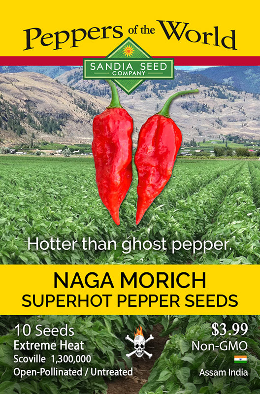 Super Hot pepper Naga Morich. Hotter than Ghost pepper extreme heat and scoville.