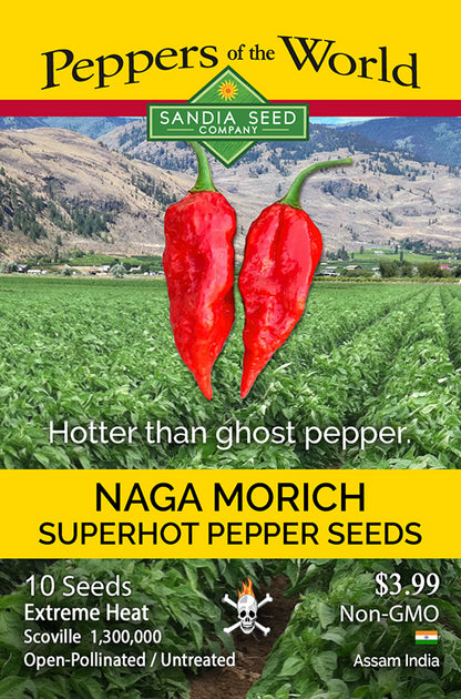 Super Hot pepper Naga Morich. Hotter than Ghost pepper extreme heat and scoville.