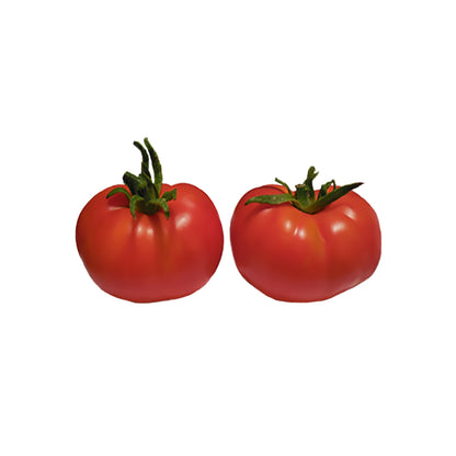 New Yorker Tomato Seeds - Early Slicer Variety showing two ripe, red, determinate heirloom tomatoes with smooth skin and green tops.