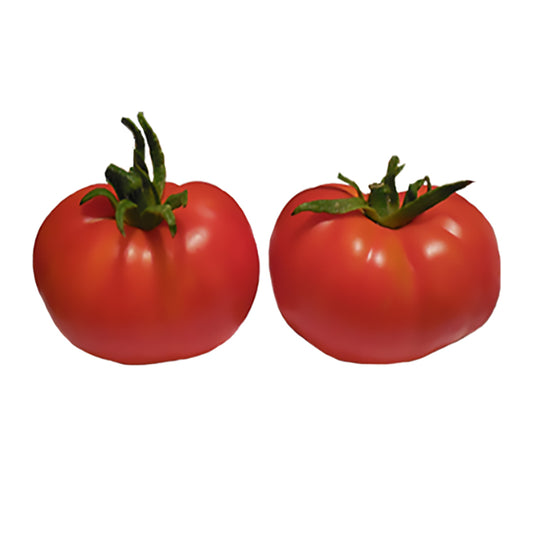 New Yorker Tomato Seeds - Early Slicer Variety - Great for Cool Short Seasons