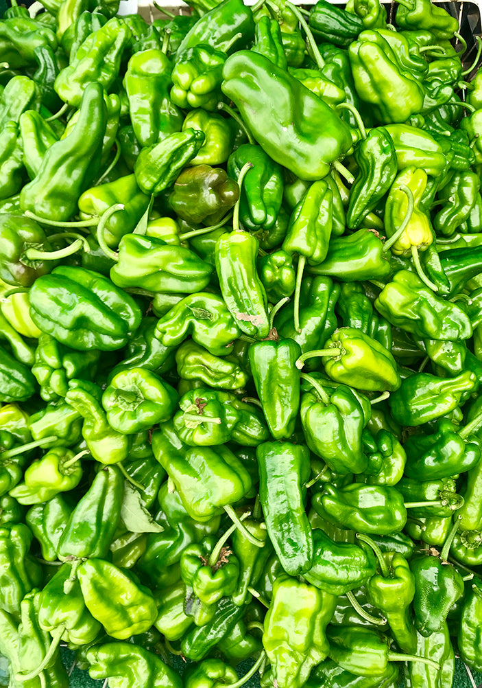 Padrón Pepper Seeds - Spanish Gourmet Sweet Heirloom - Quick & Productive