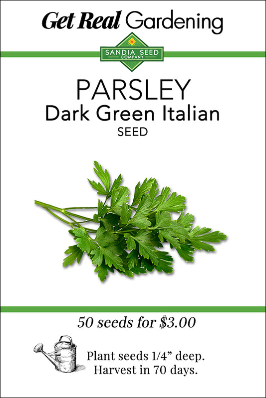 Parsley - Italian Dark Green Flat Seeds