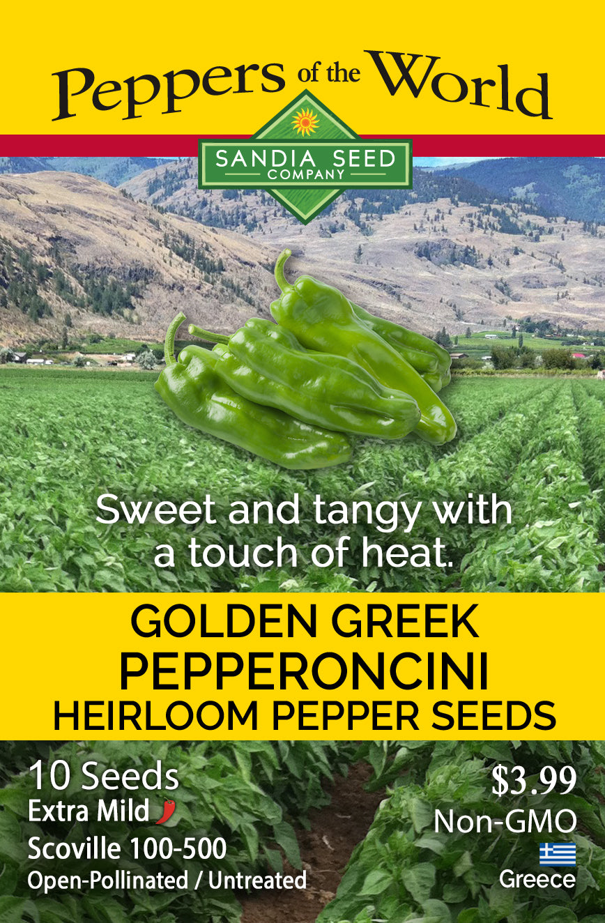 Seed packet design for Sandia Seed Company Golden Greek Pepperoncini heirloom pepper seeds, featuring a yellow header, a photo of green peppers over a farm field, and product text including 'Sweet and tangy with a touch of heat.'.
