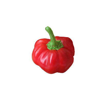Pimento Sheepnose Seeds - Beautiful Sweet Pepper Heirloom