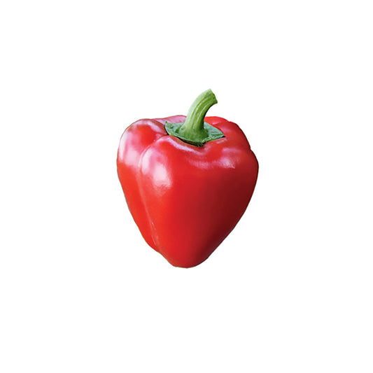 Pimento Pepper Seeds - Heirloom Sweet Peppers - Easy to Grow
