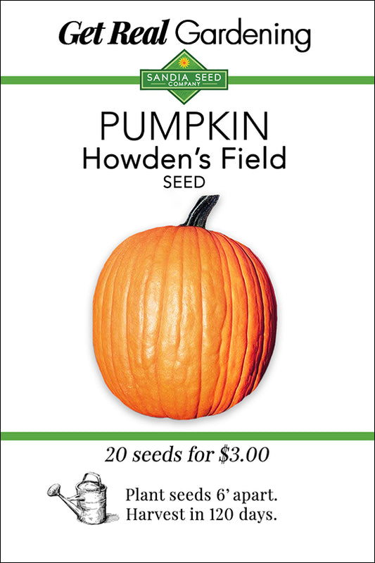 Pumpkin Howden's Field Seeds