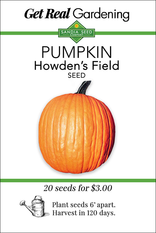 Pumpkin Howden's Field Seeds